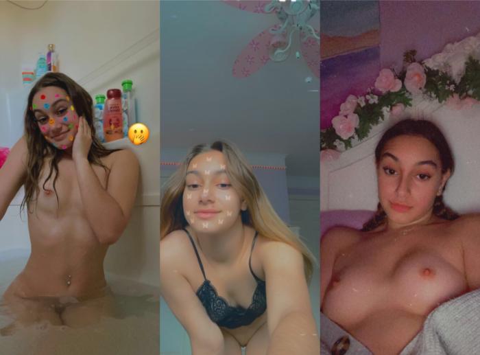 Sierra Rosebush